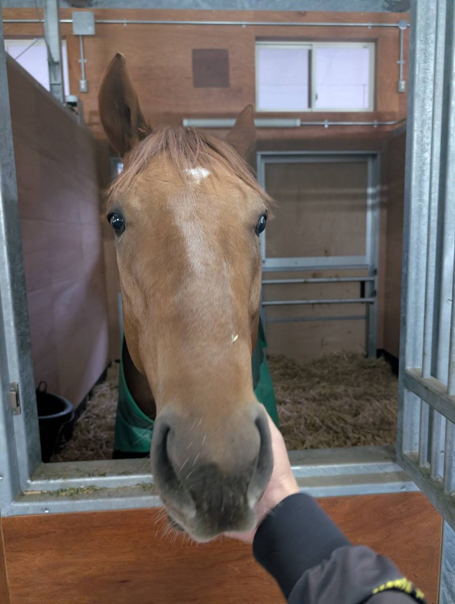 micciページです。 micci* (@0701micci) / Posts / X