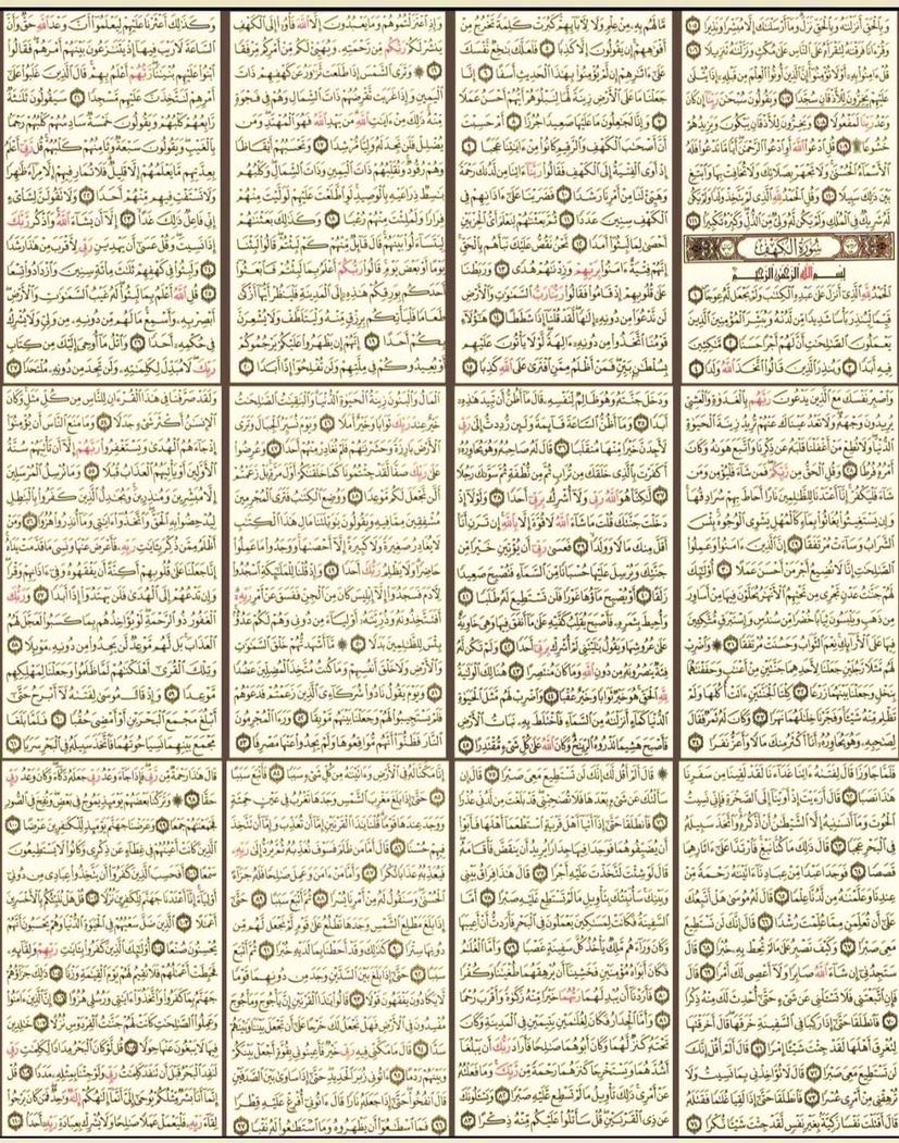 صَــفَــيّــة | tweet media