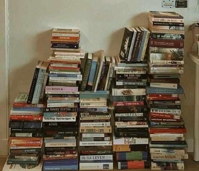 ilyapapi's tweet image. ‧₊˚🖇️ lidos em 2026 ˎˊ˗
                  ⌞ a thread ꨄ︎

“a ficção consiste não em fazer ver o invisível, mas em fazer ver até que ponto é invisível a invisibilidade do visível.”