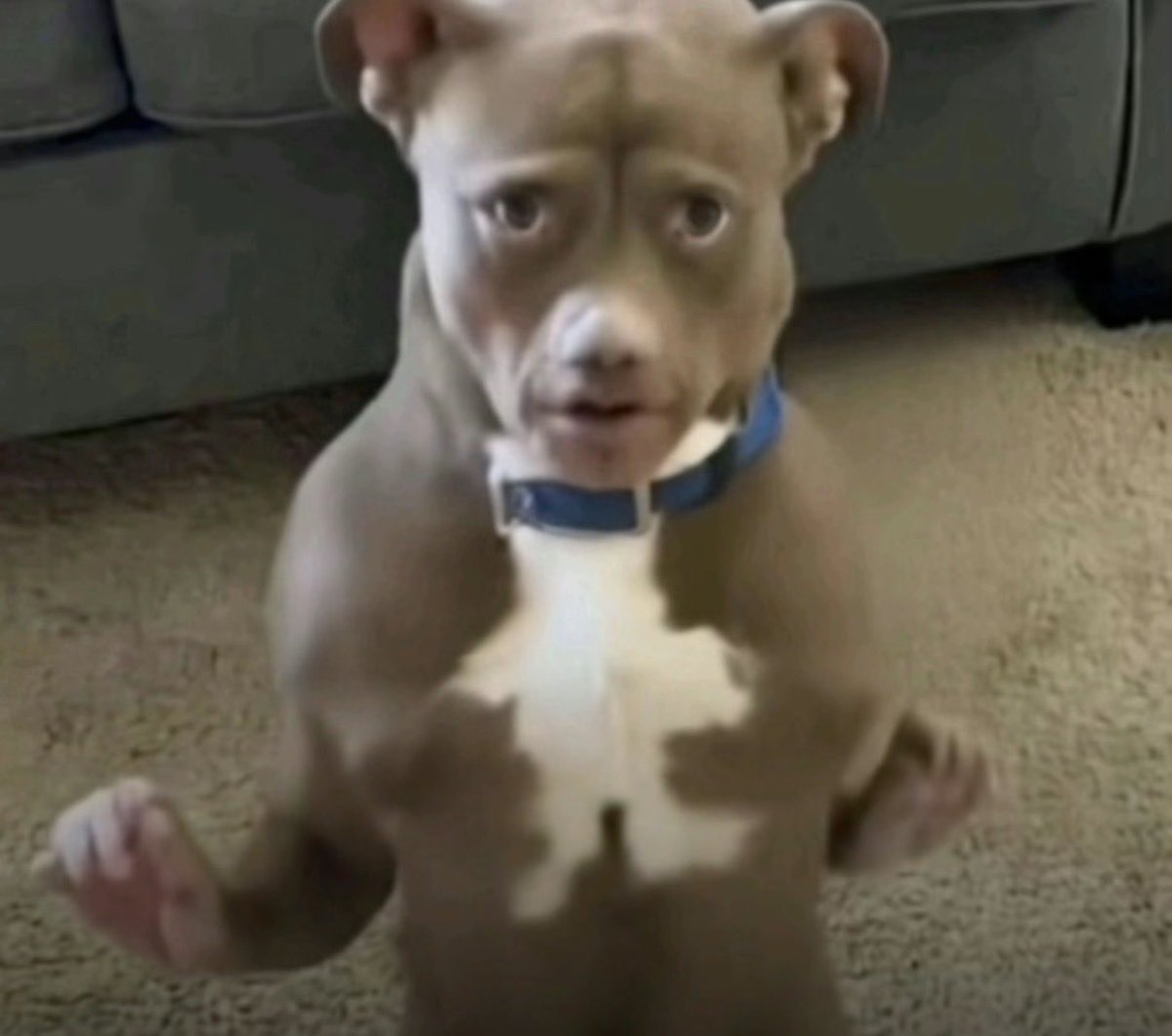 whereswave's tweet image. 1.1.26