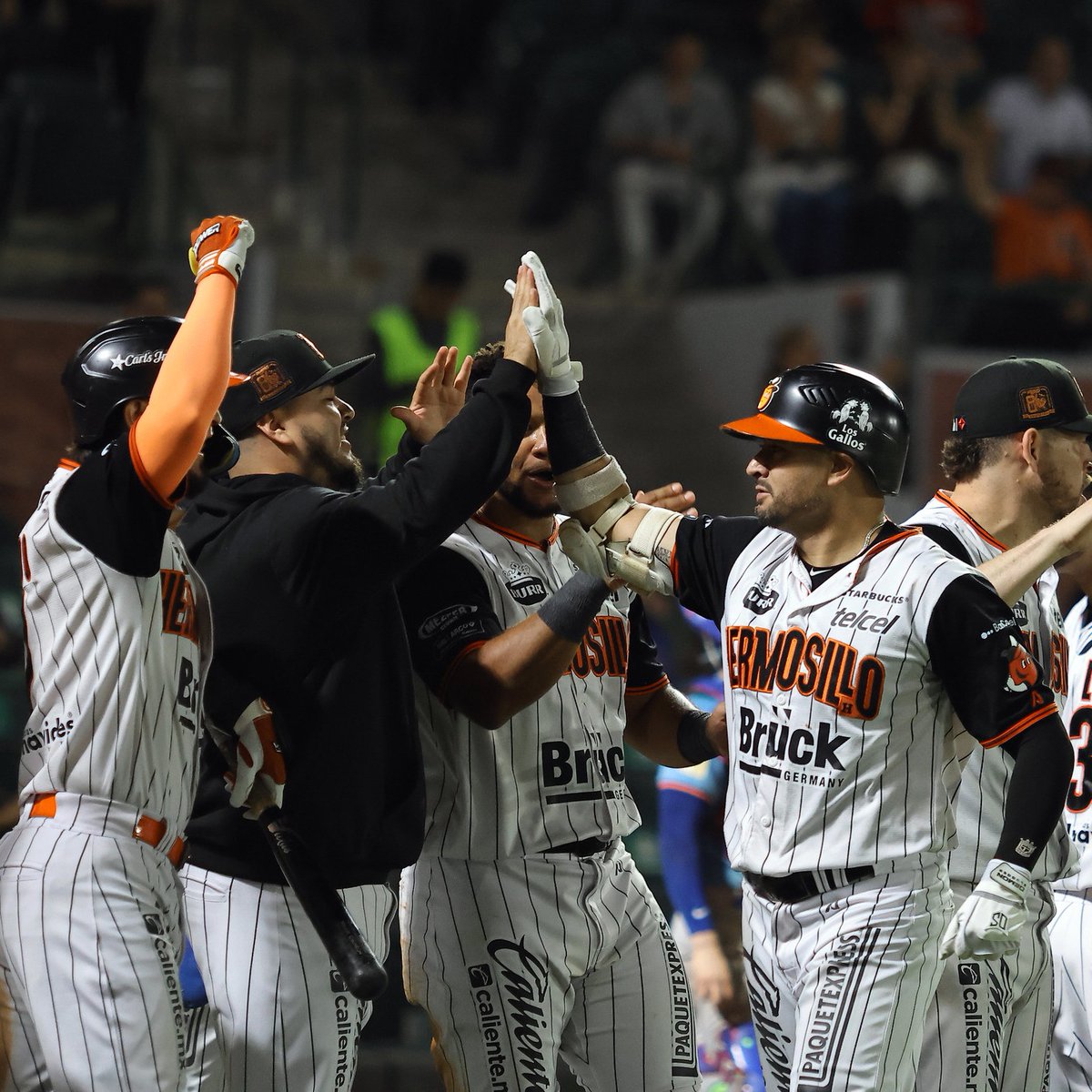 ClubNaranjeros's tweet photo. La secuencia del batazo de Edson García. 🔥🍊 https://t.co/dcqCKJo6Xq