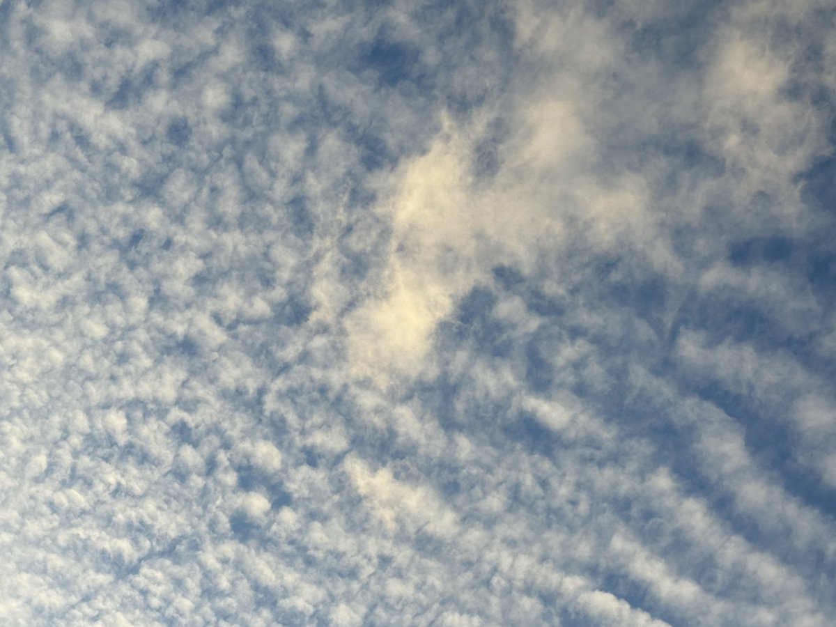 Pictures from Jan 1 2026