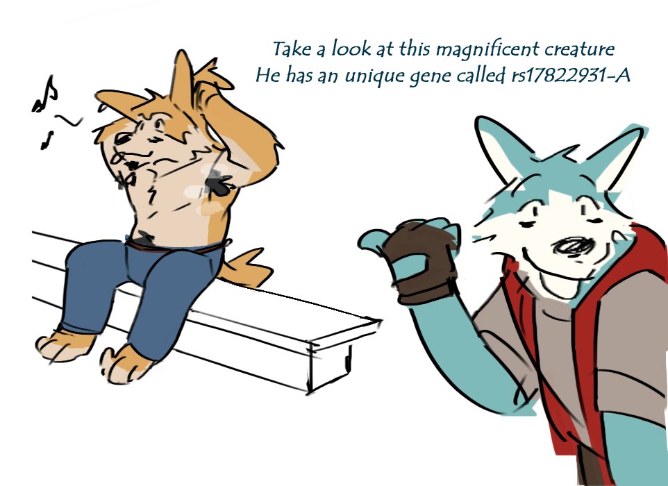 ᗷᗩKᗩ (Comm open 0/2) tweet media
