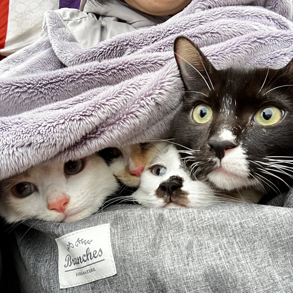 メルカリにあります