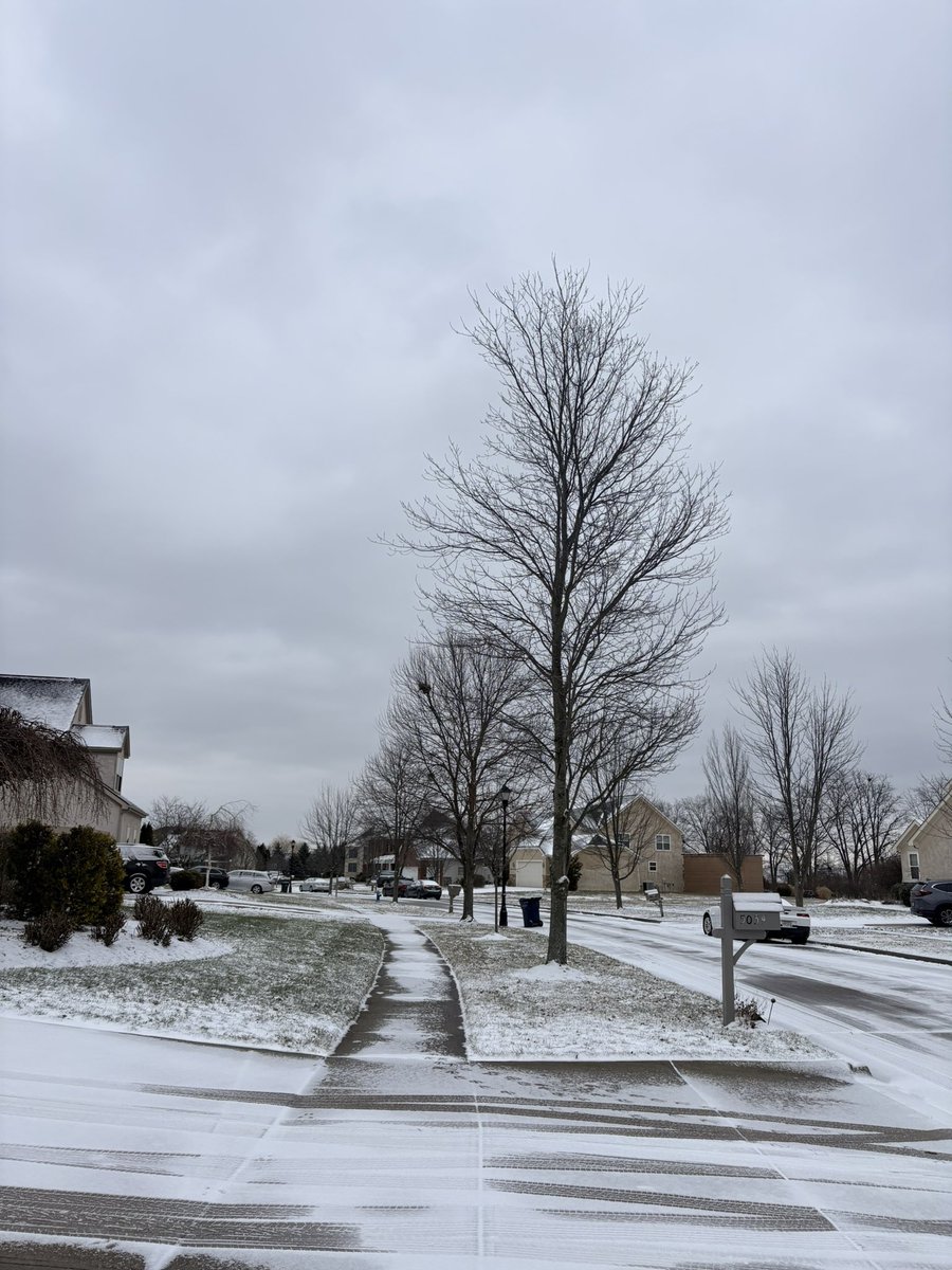 Decaffitated's tweet image. Happy new year i suppose or summin?