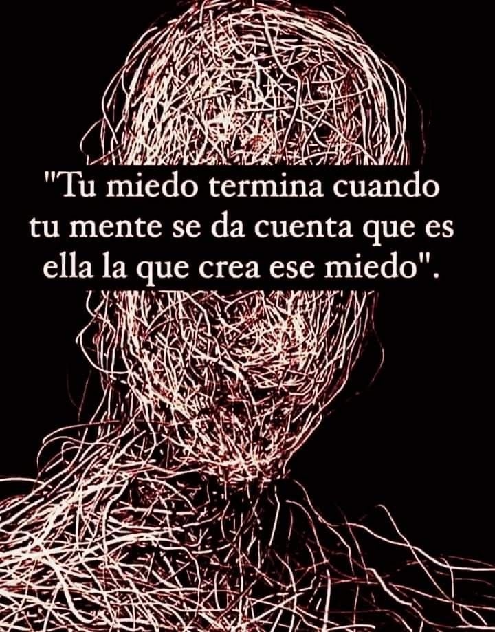 eligedisciplina's tweet photo. https://t.co/MQVdAjSal7