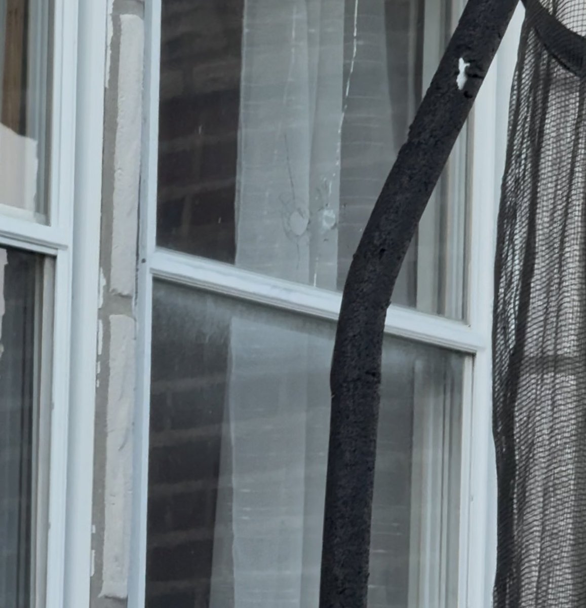 Bryanna Gallagher tweet media