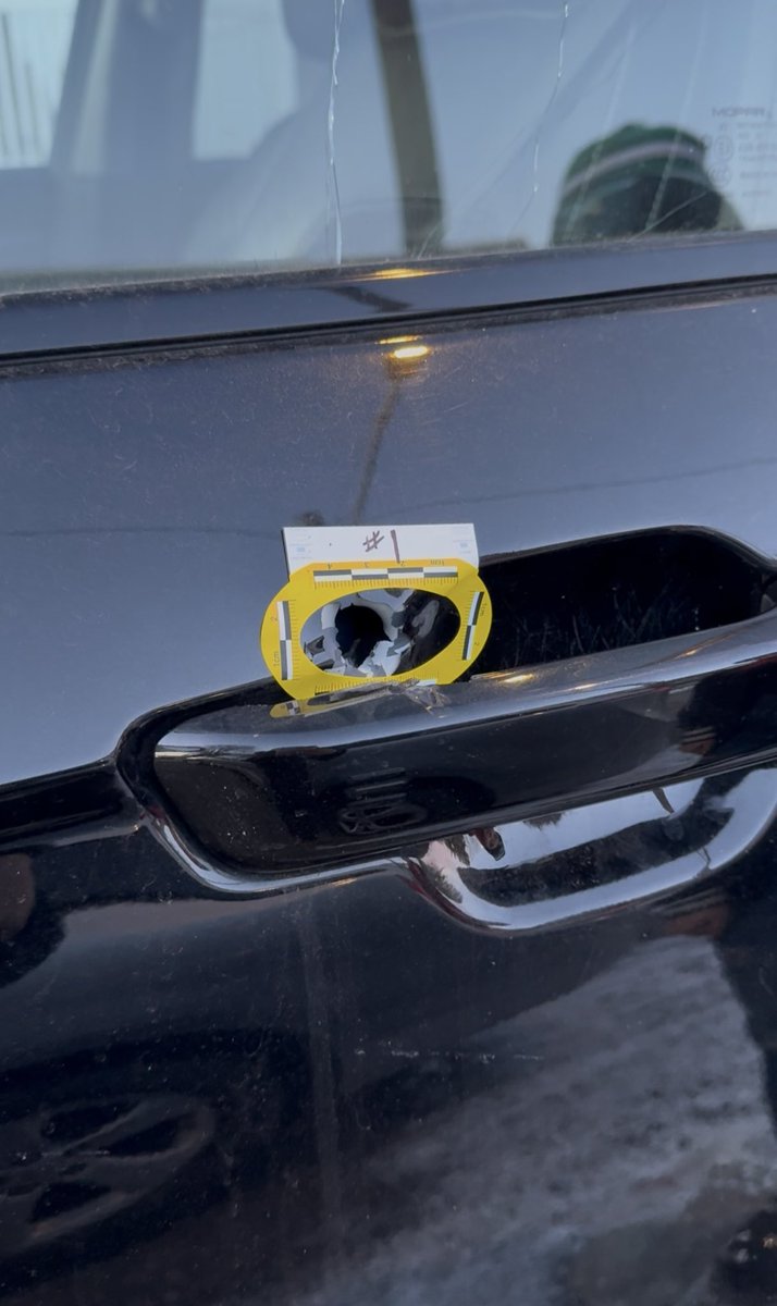 Bryanna Gallagher tweet media