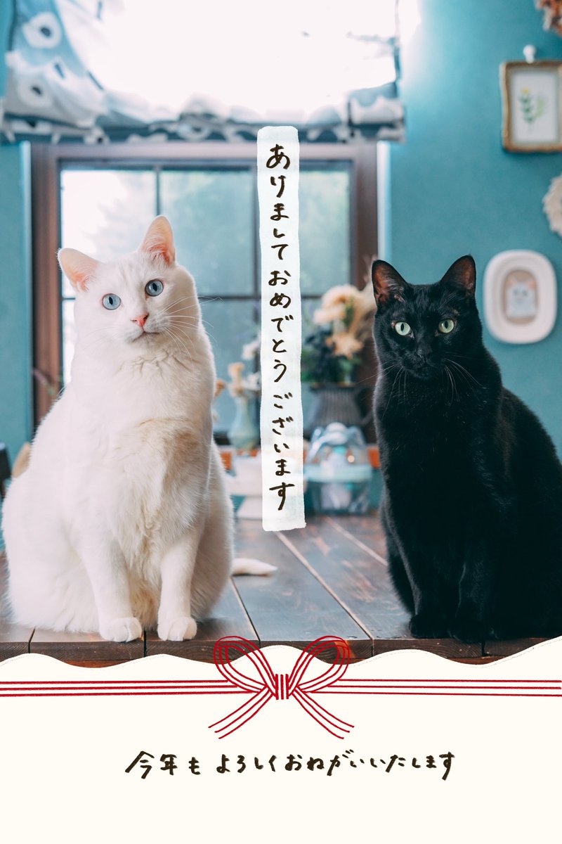 yuiii@ねこ休み展 (@yy221126) / Posts / X