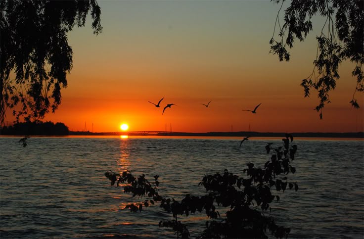 Good Morning!

Every leaf glows in the morning light.
Let your day shine just the same.