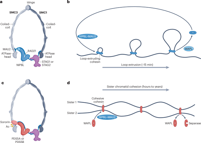 Nature Reviews Molecular Cell Biology tweet media
