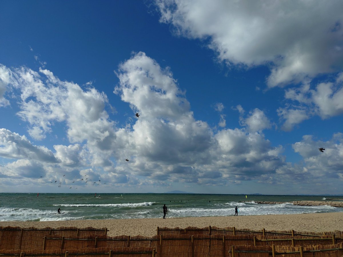 ☆タコヤキ☆ 西宮市】着色料なしで生地がピンク？！昨日オープンしたばかりのお店の