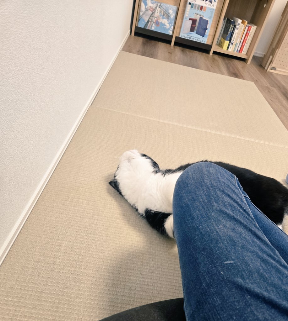 ぶんちゃんページ ぶんちゃんたちとごろごろできるエリア