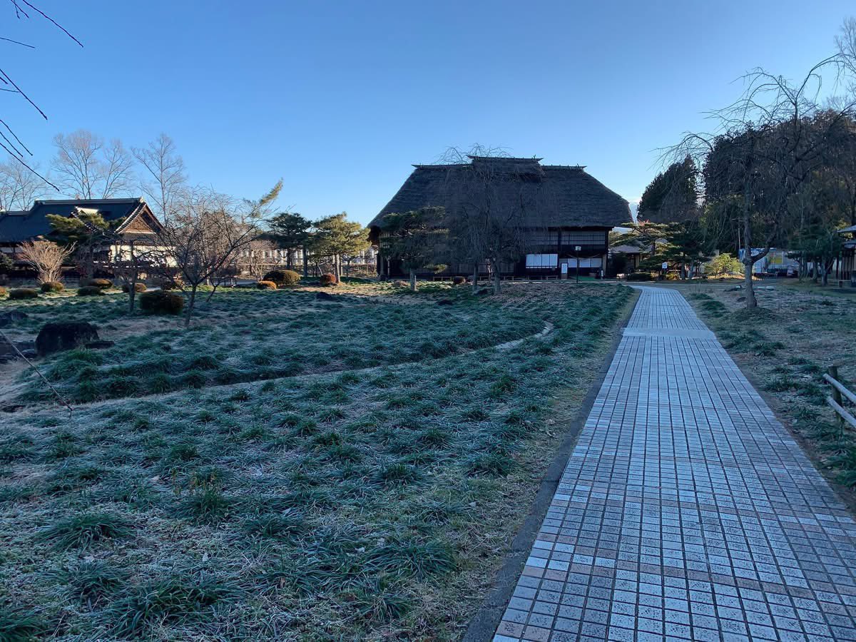 adatigaharakeik's tweet photo. 昨年は「ポーチューラカ」が連作障害か病気のために植付け面積を大幅に縮小せざるを得ない状況となりました。一方、曼珠沙華は暑さのために若干開花が遅れましたが、年々開花数が増加しております。
今年も昨年よりも多くの開花が期待出来ると思います。���非ご来場賜りますようお願い申し上げますが https://t.co/Gk0Dft7bbH