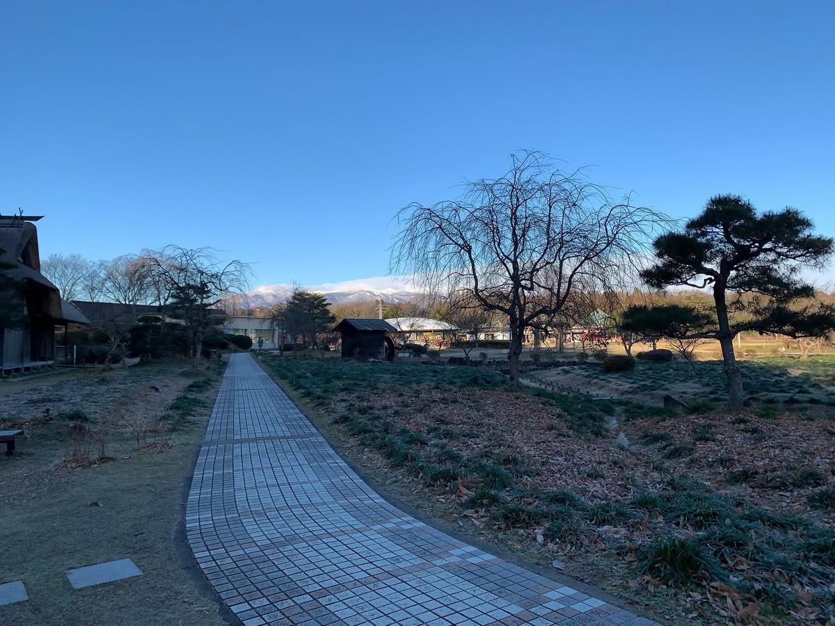 adatigaharakeik's tweet photo. 昨年は「ポーチューラカ」が連作障害か病気のために植付け面積を大幅に縮小せざるを得ない状況となりました。一方、曼珠沙華は暑さのために若干開花が遅れましたが、年々開花数が増加しております。
今年も昨年よりも多くの開花が期待出来ると思います。���非ご来場賜りますようお願い申し上げますが https://t.co/Gk0Dft7bbH