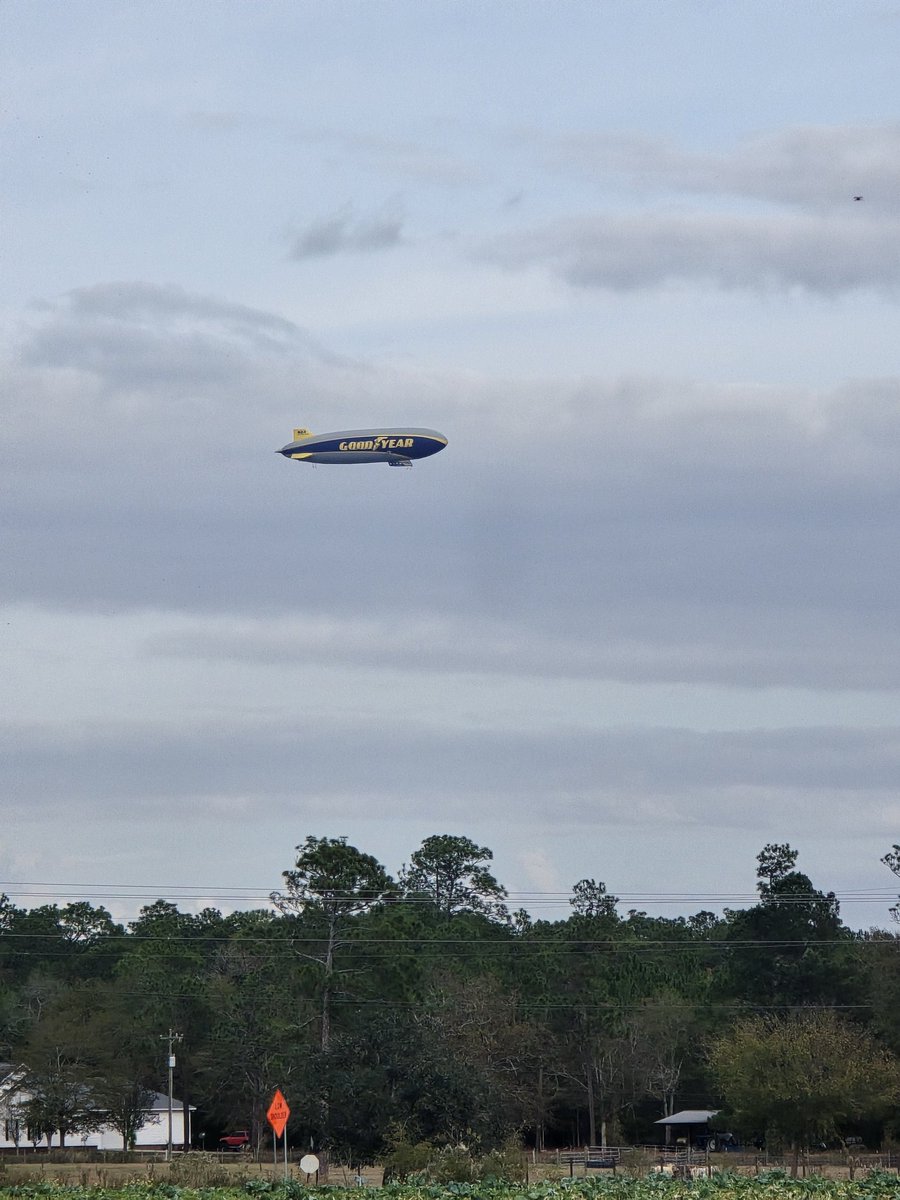 Tim Flanders tweet media