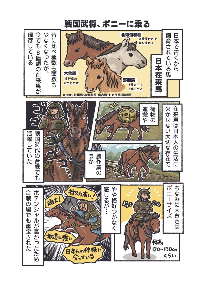 iidazoo's tweet image. もっとǃいいだどうぶつずかん お正月スペシャル🎍🐴
第2弾です‼️

昔の日本ではサラブレッドのような大型の馬ではなく、小型の『日本在来馬』が主に活躍していました🐴

┈┈┈┈┈┈┈┈┈┈
 #飯田市立動物園
 #もっとǃいいだどうぶつずかん
 #ポニー  #馬  #午年2026