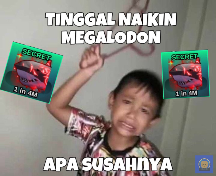 Roblox Fess tweet media