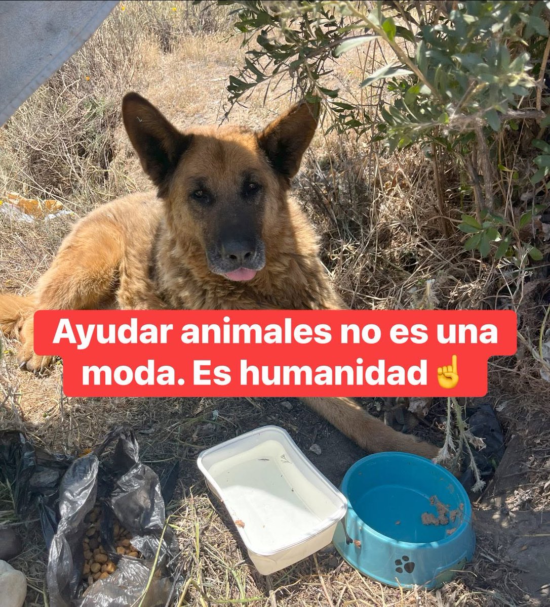 Sabueson (@sabueson) on Twitter photo 