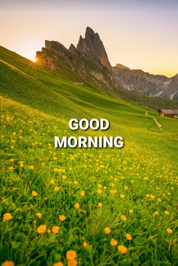 Good Morning X Family

Sunshine day ahead