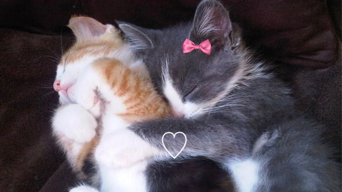 O3_______O3's tweet image. us  (⸝⸝๑﹏๑⸝⸝)