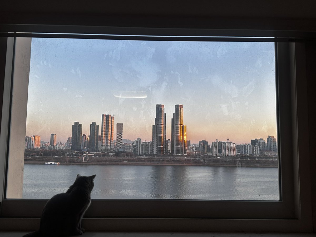 이제 못볼 내 최애 치코 뷰의 뷰...🥲🌉