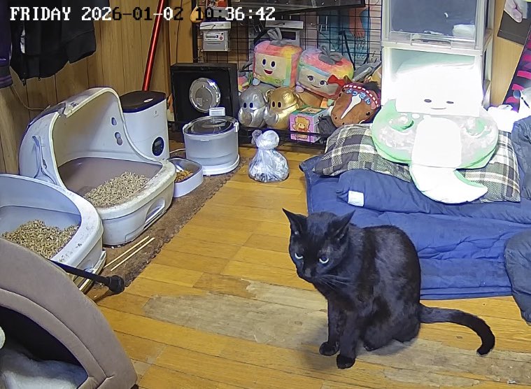 よっさん & 黒之 (@Yossan_Kuroyuki) / Posts / X