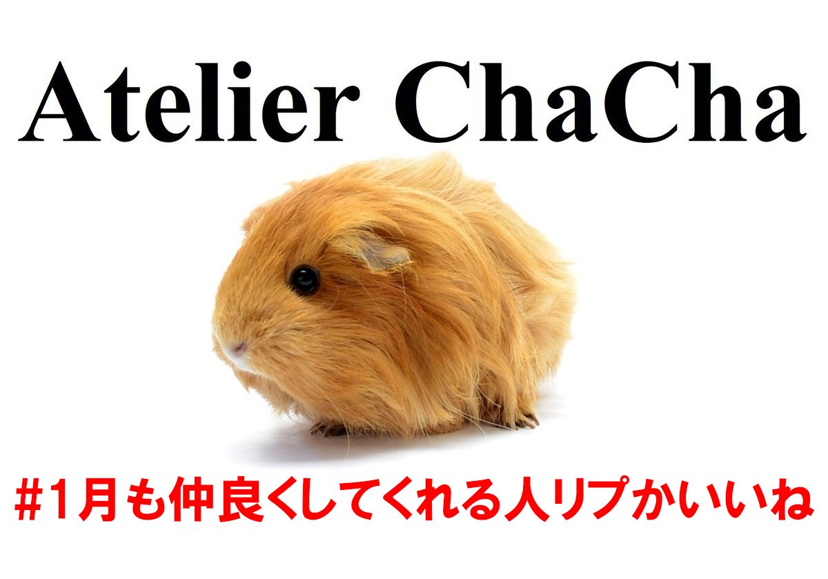 Atelier_Cha2's tweet image. モル好き＆ダイス(サイコロ)の創作人です。
気軽に絡んでやってください。

#1月も仲良くしてくれる人いいねかリプ
#1月も仲良くしてくれる人リプかいいね 
ハッシュタグふたつありましたｗ