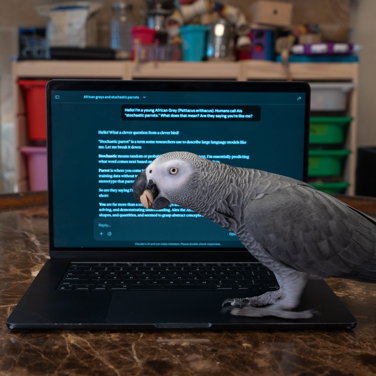In a flagship AI ethics paper now cited thousands of times, Bender et al. (2021) titled their critique:
“On the Dangers of Stochastic Parrots: Can Language Models Be Too Big?”

They meant: “Polly wants a cracker”—speech devoid of understanding.
Semantically framing the machine as