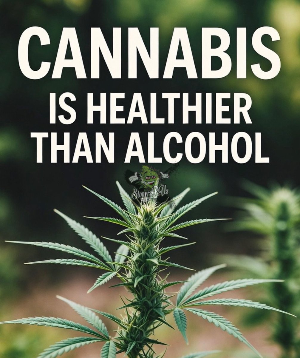 180+ Hidden Stoner Quotes And Captions For Instagram, image size:1006x1200