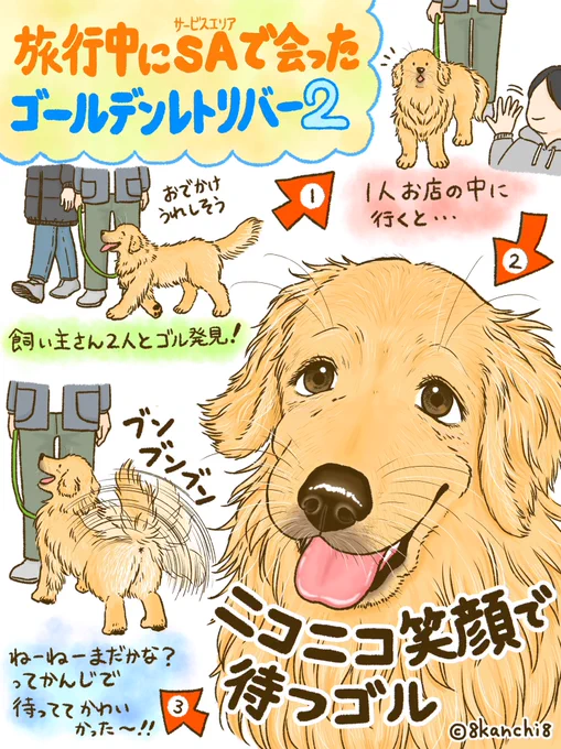 旅行中にサービスエリアで会ったゴールデンレトリバーまとめ(2/2) 