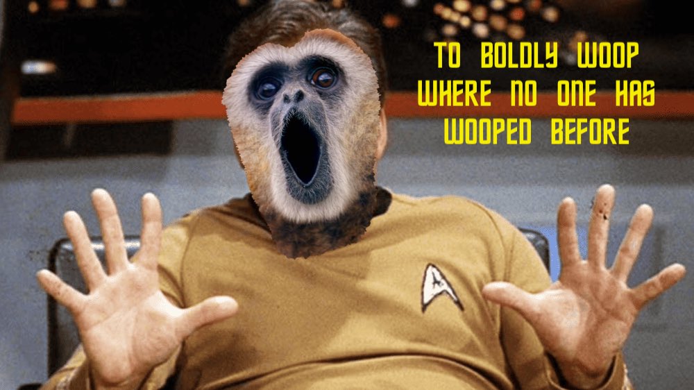 $WOOP WOOP Gibbon Gang tweet media