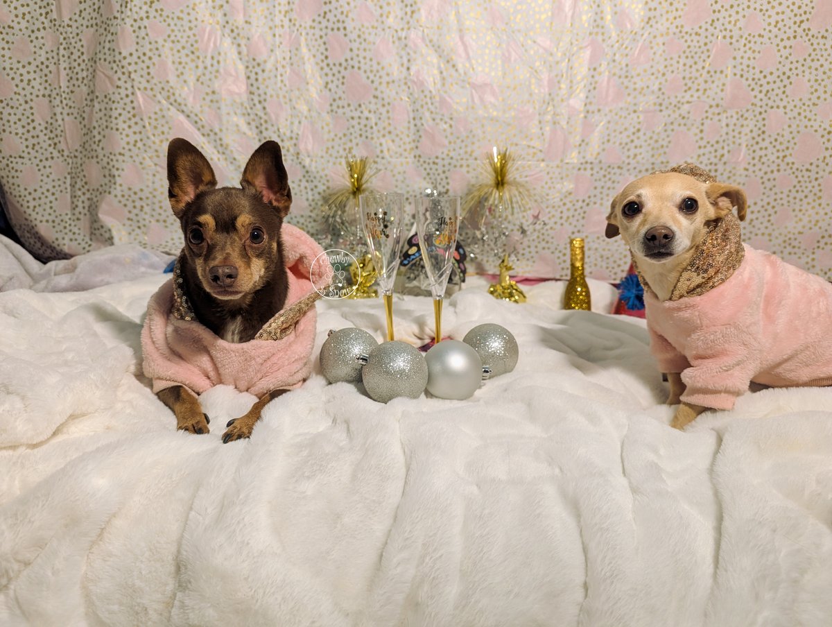 Happy New Year Beauties!! May 2026 bring all of our friends tons of health &amp; happiness. May hope fill your days in the New Year even when darkness creeps in. Let's stay hopeful!

YouTube video:
youtu.be/L-diy2lsi78?si…

#dogs #dogsoftwitter #dogsofX  #NewYear2026 #NewYearsEve