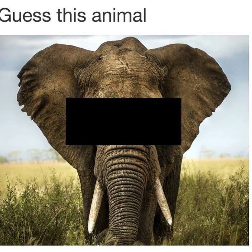 majimatron's tweet image. 