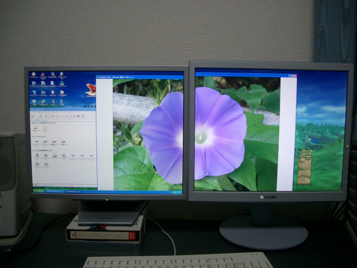 新春というと20年前の1月に広告に載ってた液晶ディスプレイを買っ