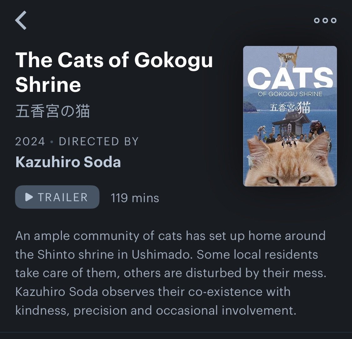 florentdrive2 tweet media