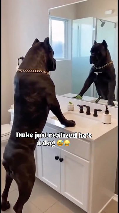 Barstool Sports tweet media