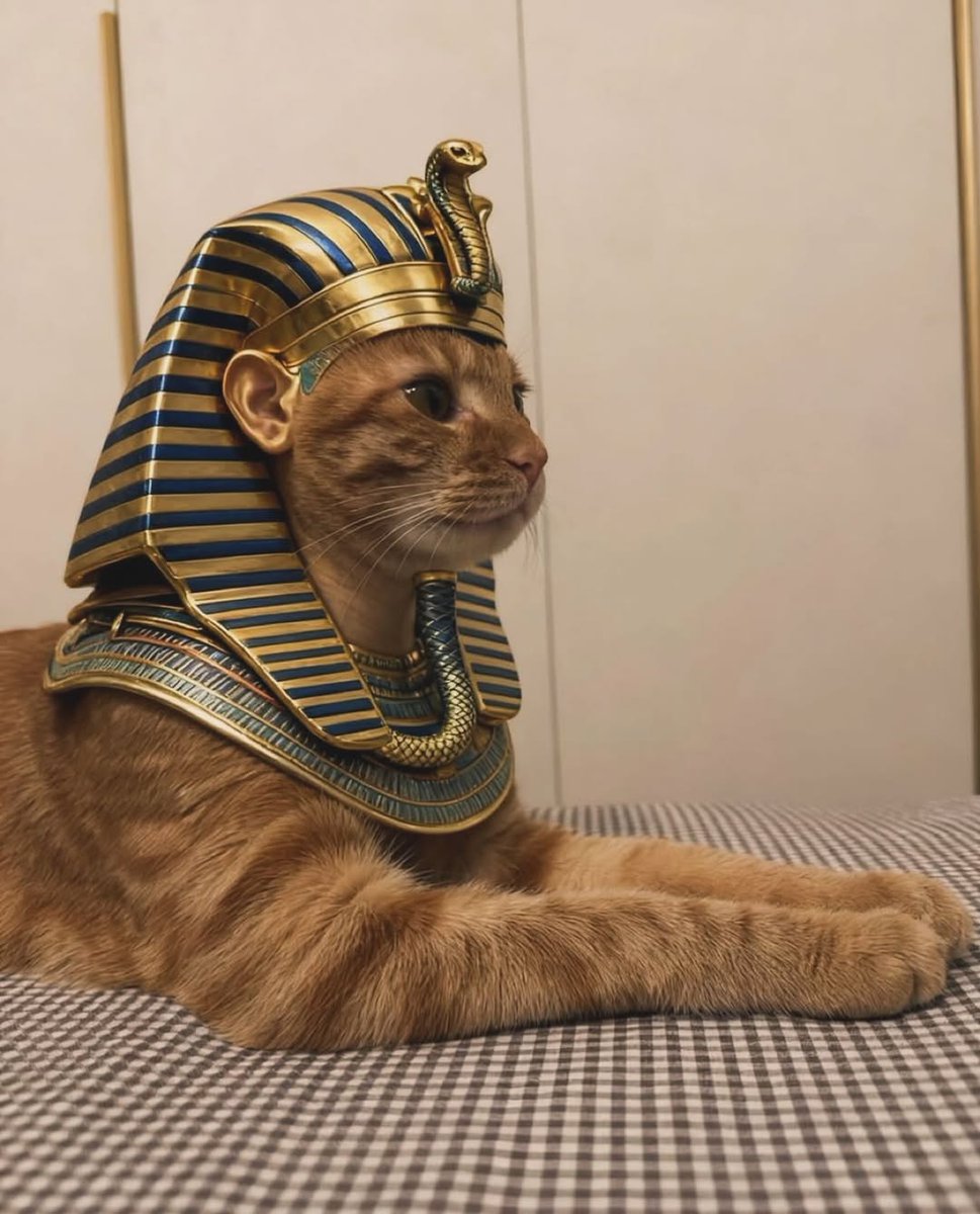 Psychedelic Art (@psychdelicpics) on Twitter photo 