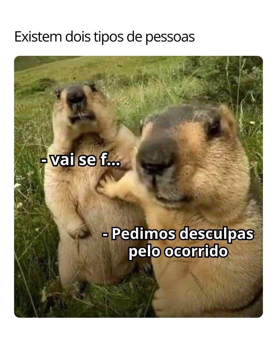 Shitpost só que de verdade tweet media