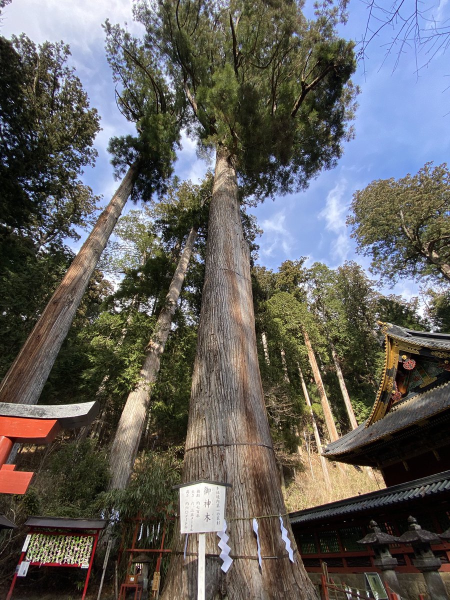 新年明けましておめでとうございます
今年は今以上に頭を使う一年になりそうです！
どうぞ宜しくお願い致します。