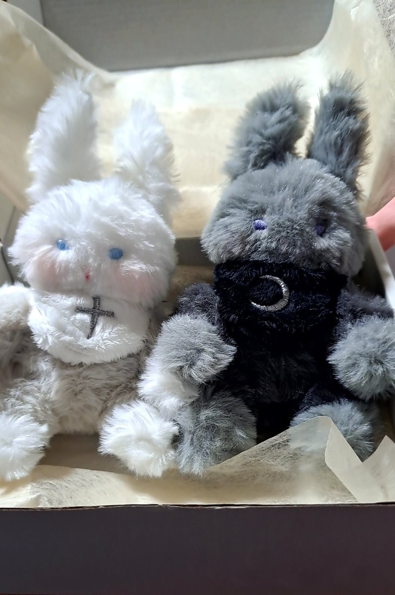 ようさん(<a href="/wonder_yoh/">よう /小学館NEO/2月銀座個展/4月ドバイ展示</a> )の福BOXとぬいちゃんお二人をお迎えしました！
なんかもう、全部写真に写りきらないキラキラが届きました✨
天使と悪魔ちゃんも可愛すぎ♡
どこに飾ろうかなぁ🤔