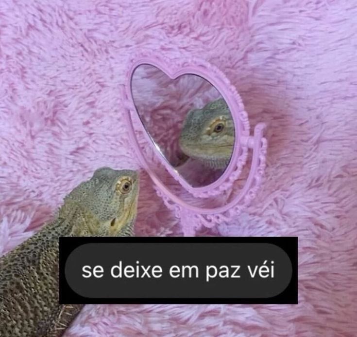 cica_pereira's tweet image. não se pressione… ainda é dia 02