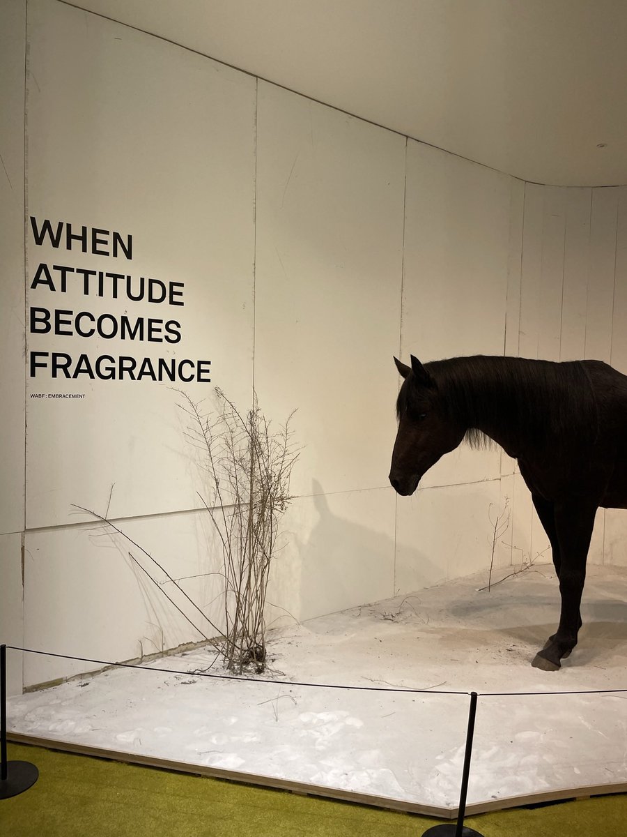 FOMO주소⩤ ＫＲ.ＦＯＭＯ.ＩＯ ⩥CoinCasino.sbe