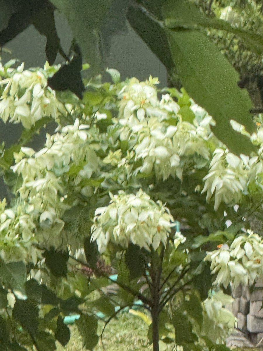9bintaa's tweet photo. 25x zoom 16pm https://t.co/ac91zsFt6S