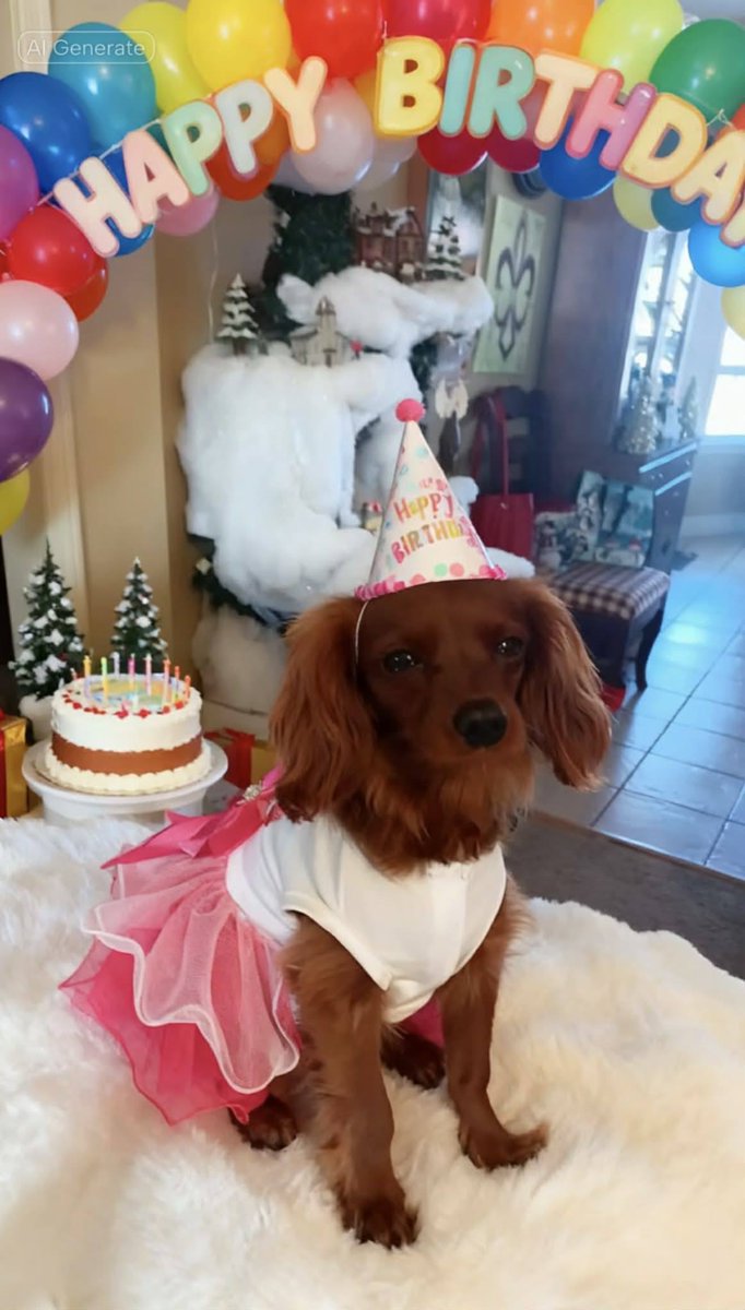 Sorry I'm a little late getting to this. First, Happy New Year to one and all, and secondly, Happy New Year's Birthday to our one year old Lily Mae! It's been a wonderful 10 1/2 months since she joined our family, and we love her so much. Woof Woof!