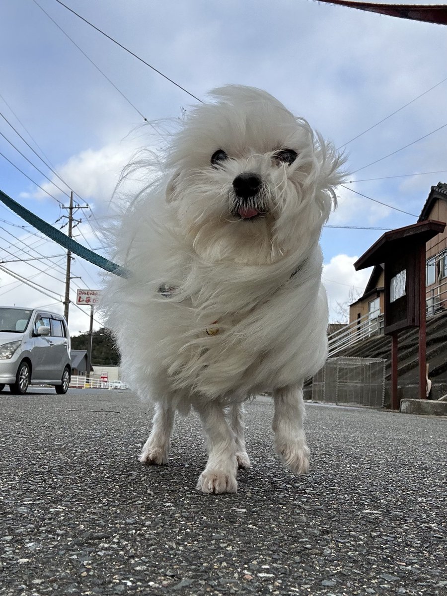 ハルさま確認ページ♥ 2年間放置した『貼らない壁紙』原状回復できる⁉️👀 30秒でわかるズル