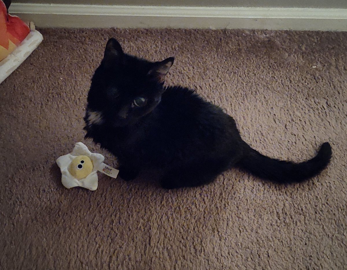 Thancred tweet media