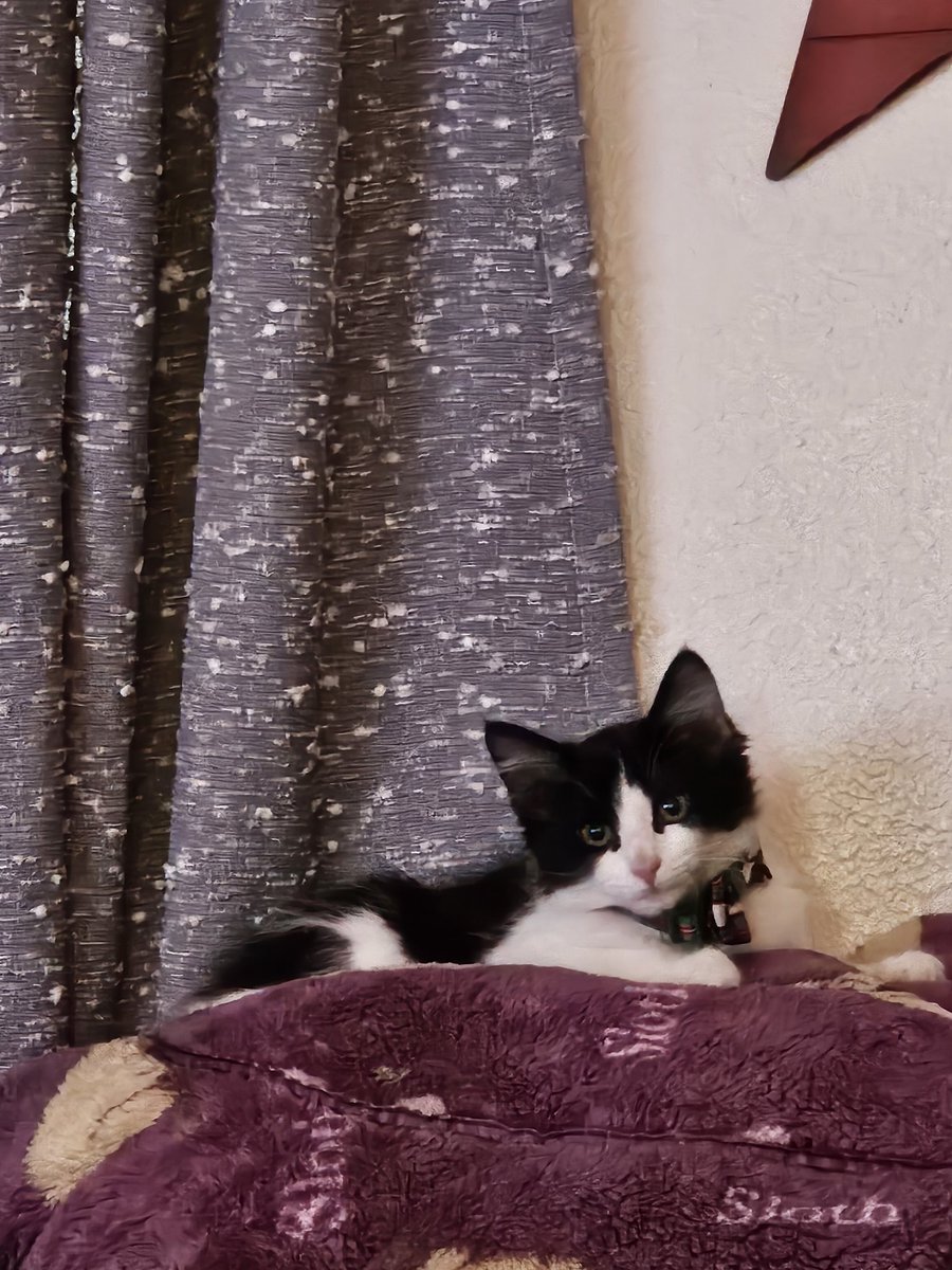 First stream of the year. 
First time trying Arc Raiders
Twitch/Tiktok HeyItsMarty