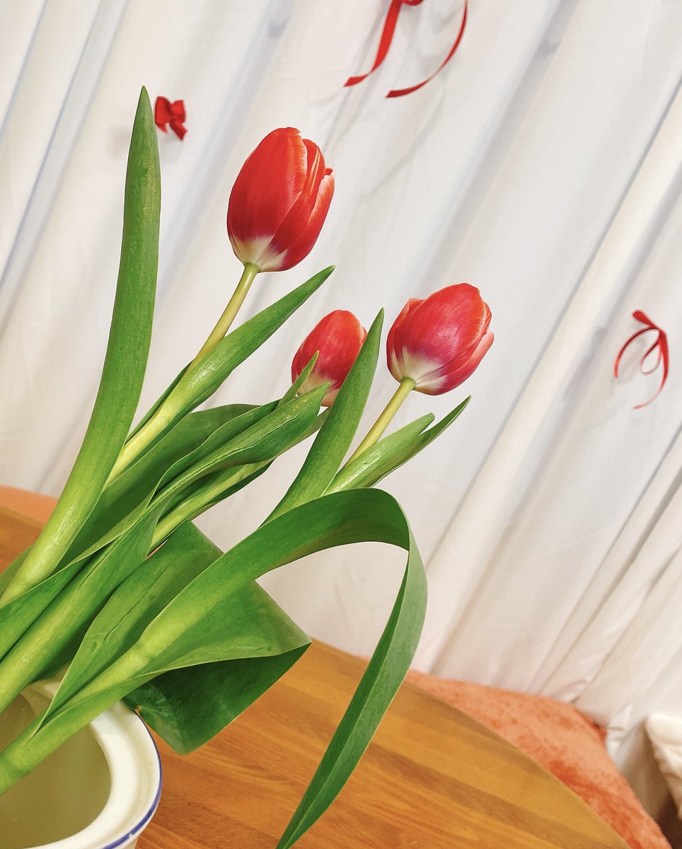 チューリップ様•*¨*•.¸♬︎ チューリップって本当に香りあるんだ…………🌷