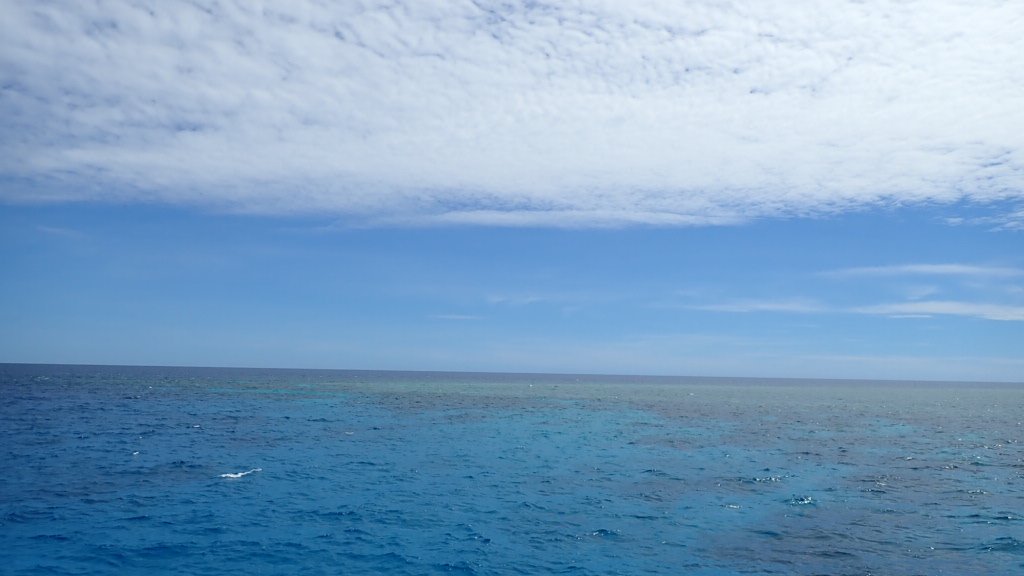 st_cameleon's tweet photo. 年末は海と熱帯雨林の旅でした！
予定は詰めずにのんびり散歩したり、市場で買い物したり、コンドミニアムで自炊したり。
彼女と快適な旅を模索した１年でした！2026年はどこに行くかな〜 https://t.co/pgPWp3mlui